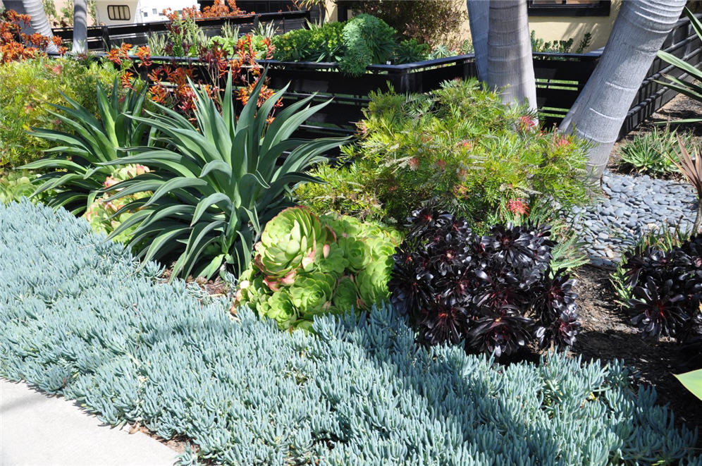 Succulent Haven Bed Detail 2