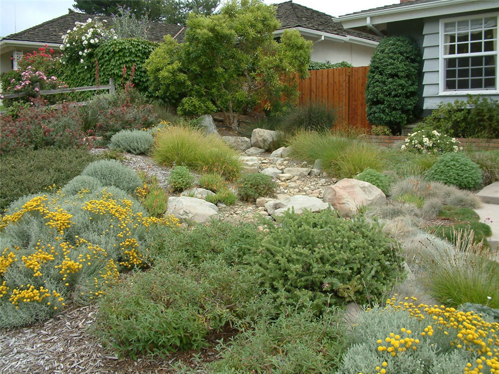 Dry Creek Bed