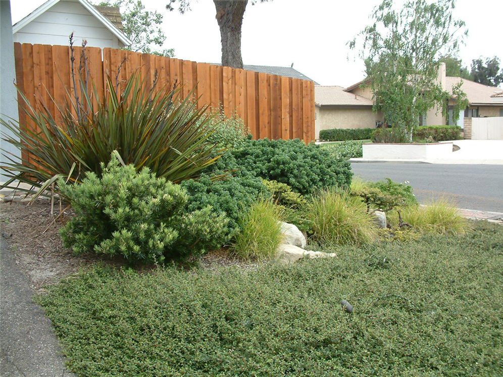 Monochromatic Green Garden