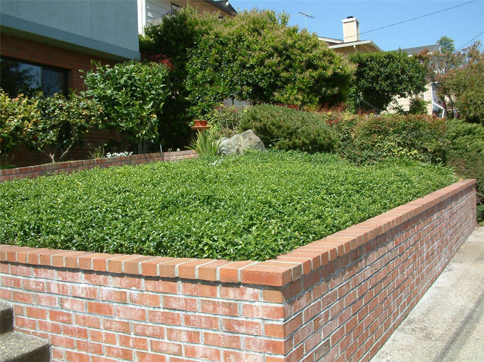 Corner View of Brick Planter