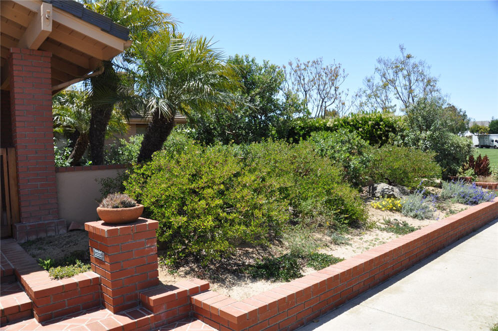 Raised Planter with Natives