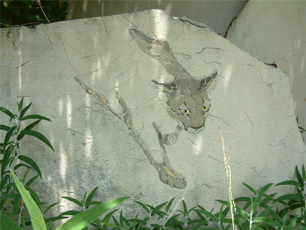 Bobcat in the Boulder