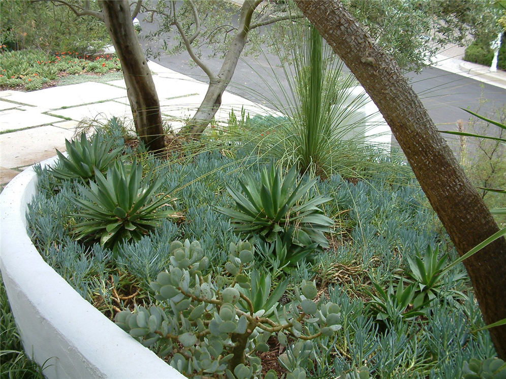 Charming Corner Garden