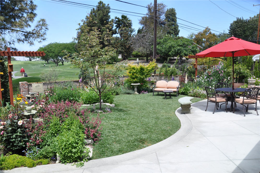 Brick Road Back Yard Two