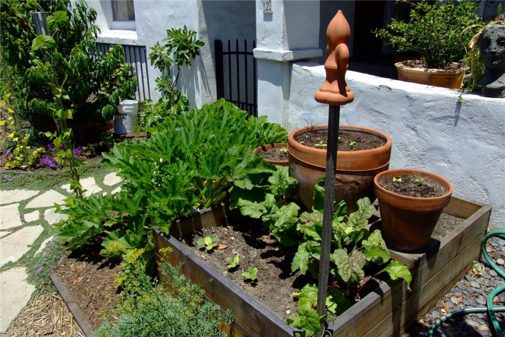 Raised Planter Bed