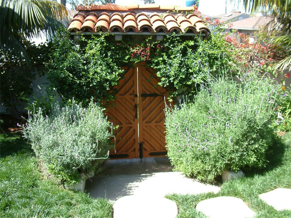 Patterned Door