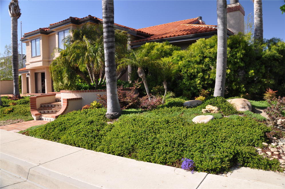 Lush Green Grows the Garden