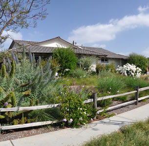 Split Rail Fence Garden