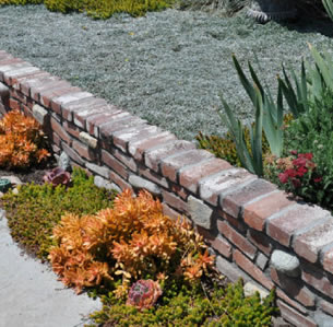 Brick Border Garden